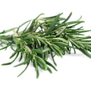 Ekstrakt z rozmarynu